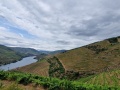 day2-douro-20240608_134940