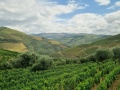 day2-douro-20240608_165238