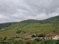 day2-douro-20240608_193702